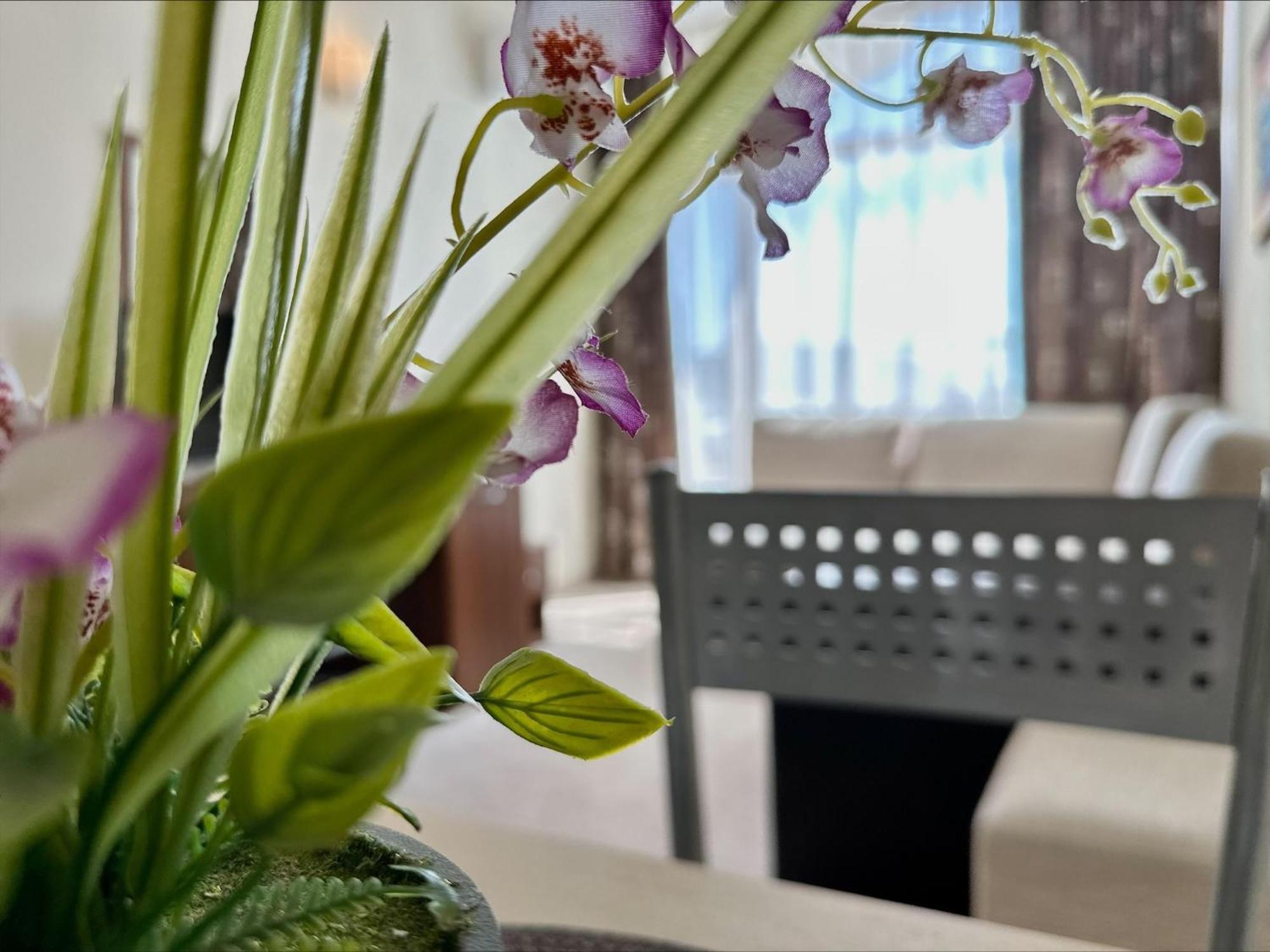 Grenada - Menada Apartments Σάνι Μπιτς Δωμάτιο φωτογραφία